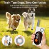 Dual Dog Training Collar with Custom Voice Recording
