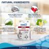 Forza10 Active Oto Dry Dog Food 6 lb