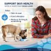 Forza10 Actiwet Dermo Wet Dog Food 3.5 oz 32-Pack