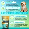 Welsdom Hip & Joint Mobility Chews with Glucosamine