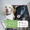 Remote Dog Training Collar 1000 Ft Range for 8-120 lb Dogs
