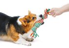 Cotton Rope Chew & Tug Toy with Squeaker for Large Dogs
