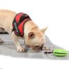 ALL4U Squeaky Treat-Leaking Bouncy Ball for Puppies