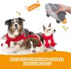 No-Stuffing Squeaky Plush Dog Toy Bundle for Puppies