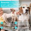 Welsdom Herbal Detox Supplement for Dogs - Liquid Blend