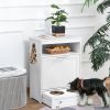 Elevated 2-Bowl Dog Feeding Station with Storage, White