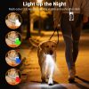 Dual Dog Training Collar with Custom Voice Recording