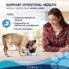 Forza10 Actiwet Digestive Wet Dog Food 3.5 oz 32-Pack