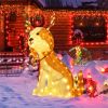 43.5 Inch LED Lighted Christmas Puppy Yard Decoration