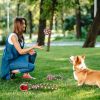 Petjoy 5-Piece Christmas Rope Chew Toy Set