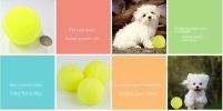 Small Rubber Dog Tennis Balls 3-Pack for Fetch & Training