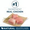 Large Breed Adult Dry Dog Food - Chicken, 40 lb Bag