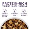 High Protein Senior Dry Dog Food - Vibrant Maturity 7+