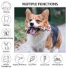 Cotton Rope Chew & Tug Toy with Squeaker for Large Dogs