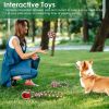 Petjoy 5-Piece Christmas Rope Chew Toy Set