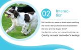 Small Rubber Dog Tennis Balls 3-Pack for Fetch & Training
