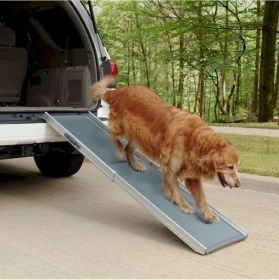 PetSafe Telescoping Aluminum Dog Ramp - Extends 39-72 In