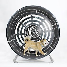 GoPet 40 Inch TreadWheel for Small Dogs - Indoor/Outdoor