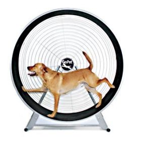 GoPet Large Dog TreadWheel - 60 Inch Exercise Wheel