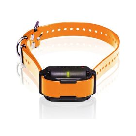 Dogtra Edge RT Additional Training Collar Receiver