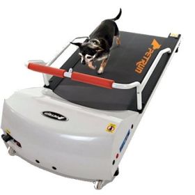 GoPet PetRun PR700 Treadmill for Small Dogs