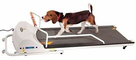 GoPet PR720F Auto-Fold Dog Treadmill - Up to 132 lb