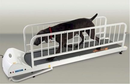 GoPet PetRun PR725 Treadmill for Large Breeds - 71 Inch