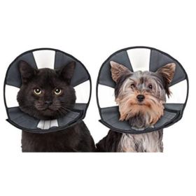 ZenPet Zen Cone Soft Recovery Collar (Option: Small  1 count)