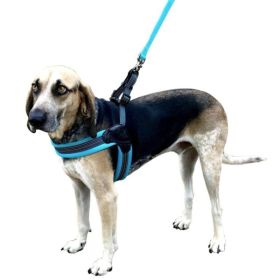 Sporn Easy Fit Dog Harness Blue (Option: Medium 1 count)