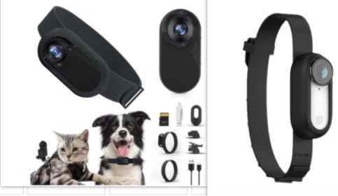 Pet Supplies Cat And Dog Collar Camera Indoor And Outdoor Wireless Recording (Option: Black-Blackset)