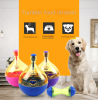 Interactive Dog Treat Dispensing Tumbler Ball - Leaky Puzzle