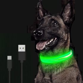 LED Glowing Dog Collar Rechargeable Luminous Collar Adjustable large Dog Night Light Collar Pet Safety Collar for Small Dogs Cat ,halloween pet collar (Color: Green Battery)