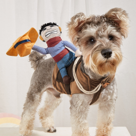 Cowboy Rider Pet Costume, Funny Dog Costume For Small Medium Dogs & Cats, Pet Clothes (Color: Mixed Color)