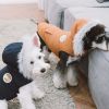 Touchdog 'Eskimo-Swag' Duck-Down Parka Dog Coat