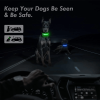 Adjustable LED Flashing Dog Collar  Waterproof Pet Safety Glow