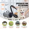 2000W Dog Blow Dryer with Adjustable Speed and Temperature