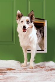 PetSafe Extreme Weather Pet Door (Option: Medium)