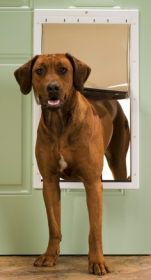 PetSafe Plastic Dog Door (Option: Extra Large)
