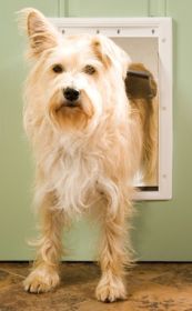 PetSafe Plastic Dog Door (Option: Medium)