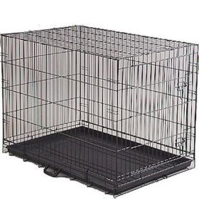 Economy Wire Mesh Dog Crate with Double Door Locks (Option: Extra Small)