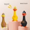 Latex Standing Chicken Squeaky Dog Toy - Large