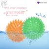 Spiky Vocal Molar Chew Toy for Small Dogs & Puppies