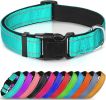 Reflective Neoprene Padded Nylon Dog Collar