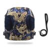 ALL4U Reflective Dragon Pattern Dog Harness Vest Set