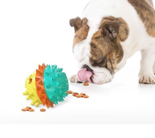 ALL4U 4-in-1 Squeaky Bounce Treat Ball with Rope (Color: Green)