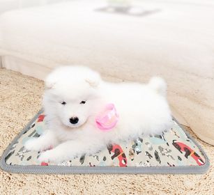 ALL4U Waterproof Pet Heating Pad with Chew-Proof Cord (Color: Gray, size: small)