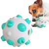 ALL4U Bumpy Rubber Chew Ball for Large Dogs