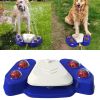 Paw-Activated Outdoor Dog Water Fountain & Sprinkler