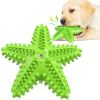 Starfish Squeaky TPR Dog Toothbrush Chew Toy