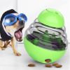 Tumbler Treat Dispenser Ball for Dogs & Cats